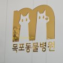 목포동물병원 | 강아지 감기 증상 목포동물병원 방문기