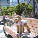 연화리 연화경로당 이미지