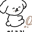 멍그랑 이미지