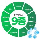 에이스유통 - 안동시 | 단백질파우더 추천ㅣ게이너마트 에이스 프로틴 쉐이크(초코맛) 단백질 보충하기