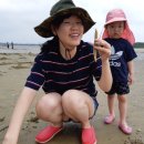 소라잡는댕댕이 이미지