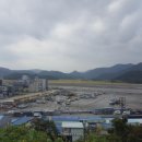 성일굴비