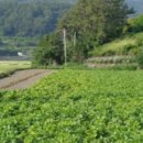 남해-309 이미지