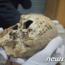 농민용역 이미지