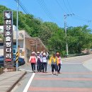 송죽 Daum카페