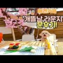 개뜰날 라운지 이미지