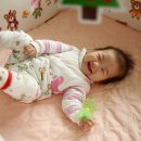 (주)채은산업