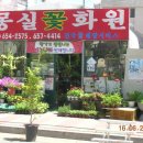 몽실화원 이미지