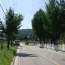 강림면사무소 이미지