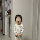 권주농장 Daum카페