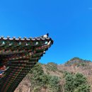 금대에코힐링캠핑장(주차장) 이미지