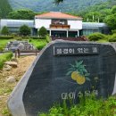 수목 비교 관찰원 이미지