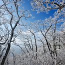 제333차 남덕유산(1,507m) 눈꽃산행 이미지