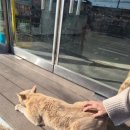 GS25대부바다점 이미지