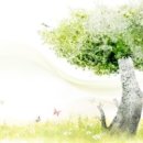 평생교육프로그램개발론 이미지