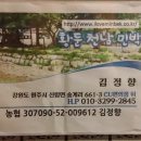 천남민박 이미지