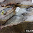 서대 이미지
