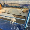 가평루이네민박 이미지