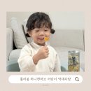 디자인투디 | 무설탕 아기 막대사탕 추천 투디어스 롤리봉 허니앤 허브 솔직 후기