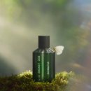 신화소프트 | 스웨덴 신화가 향이 된다면?, 라 브루켓 신상 향수 3종 시향기