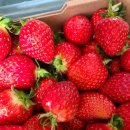 연곡농장 이미지