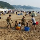 대천해수욕장 완벽 가이드｜사계절 즐기는 보령 명소의 모든 것