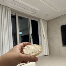 산호대로-38 이미지