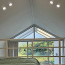 파인트리 스테이 이미지