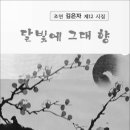 달빛향 이미지