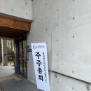 주주비 | 큐리옥스바이오시스템즈 주주총회 후기 및 개인적인 생각
