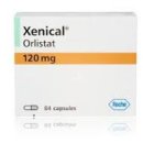 센트럴 독 이미지