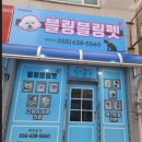 블링펫샾 네이버블로그