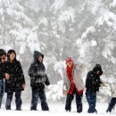 남국목장 이미지