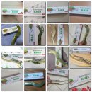 주식회사 도담아이 이미지