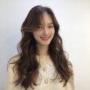 하브 선릉 이미지