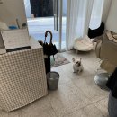 살롱 휴(Salon Hue) | Salon hue 살롱휴, 신사 데일리 헤어메이크업 후기