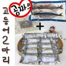 제주은갈치 220g 5마리 17630원 (자반고등어 증정) 이미지