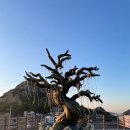 군산예술의전당본관2,3층 | 군산 장자도 카페 오션뷰가 장난 아닌 카페라파르