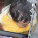 39도 스콘 | 아기 돌발진 원인 분석, 돌치레 기간의 생생한 후기