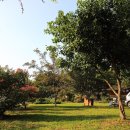 여주-0829 이미지