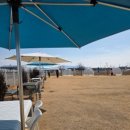 하이멍 애견카페 이미지