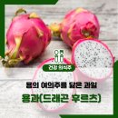 국민후르츠 이미지