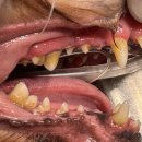 덕소동물병원 이미지