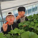 함평태권도장 이미지