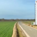 버거킹 앞 이미지