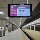 잔다리로 40 버스정류장(14-984) | 내장산[대중교통가는법]서울&gt;정읍역&gt;내장산&gt;정읍역&gt;서울 서울에서내장산대중교통!!