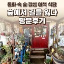 숲에서 | 일산 숲에서길을잃다 후기 — 동화 속 숲 감성 바베큐 / 요리바리의 방문 기록