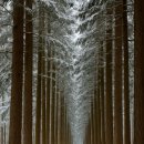 새말목장 이미지