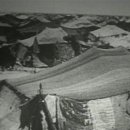 시디인터내셔널 이미지