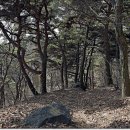 운주2 Daum카페